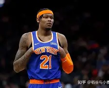 尼克斯主场告捷，尼日尔斯特砍下+的简单介绍